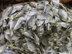 Market, market stall, fish, dried fish, San Carlos, Negros Occidental, Philippines