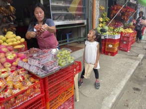 Vendor, Market, Market stall, Fruit, San Carlos, Negros Occidental, Philippines