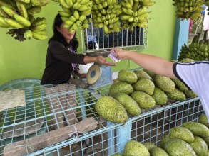 Vendor, market, market stall, customer pays, pay, money, fruit, durian, bananas, Negros Occidental,