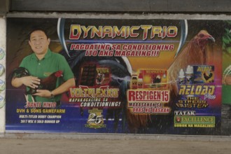 Cockfighting, advertising for upcoming fights, Negros Occidental, Philippines