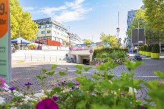 Urban scene with flowers and modern architecture on a sunny day, Sindelfingen, Böblingen district,
