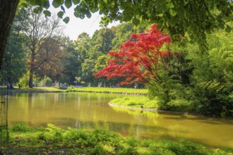 Idyllic park with a tranquil lake, bright autumn colours and a relaxed atmosphere, Munich, Germany