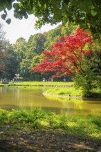 A beautiful park with a lake and colourful trees that create a peaceful atmosphere, Munich, Germany