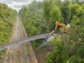 An excavator demolishes a bridge in the forest, surrounded by dense greenery and under a cloudy