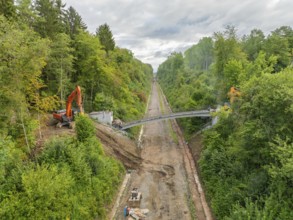 Excavator on both sides of a bridge to be demolished in a wooded area with cloudy sky, bridge