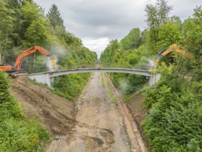 Two excavators demolishing a bridge over a forest path, surrounded by dense vegetation, bridge
