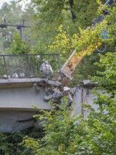 An excavator tears down a bridge, railing surrounded by trees and leaves, bridge demolition, Calw,