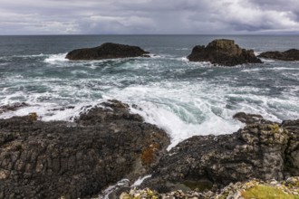 Rocky coast, offshore islands, Ballintoy Harbour, Causeway Coastal Route, Antrim, Northern Ireland,