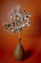 Dried spiky plant in a terracotta vase on a vibrant orange background, creating a minimalist still