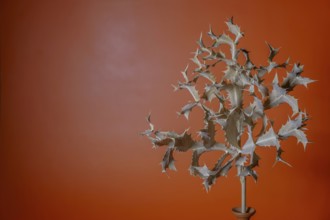 Dry thistle with thorns on an orange background creates a minimalist still life in ronda, malaga,