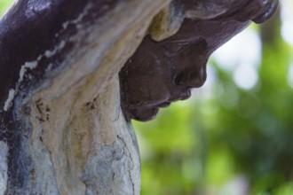 Close-up of a weathered statue's face, showing signs of age and decay, set against a blurred