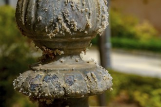 Detail of a weathered stone pillar covered in lichen, showcasing the effects of time and nature in