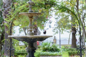 Small bird enjoying a moment of rest on the edge of a stone fountain in a serene garden setting in