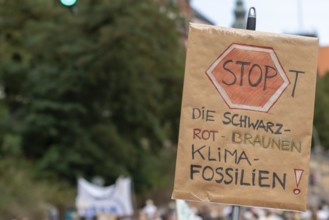 Worldwide climate strike by Fridays for Future under the motto Exit Gas - Enter Future,