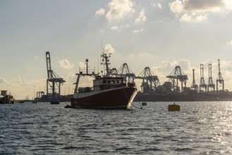 Silhouettes of industrial port with a small boat in the foreground, Marsaxlokk, Malta