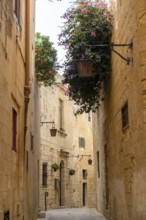 Wonderful historic street in Marsaxlokk, Malta on a Sunny Day