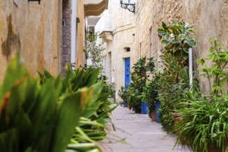 Charming medieval full of flowers street of Rabat Mdina in Malta