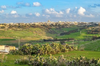 Beautiful view of nature at Gozo with Victoria or Rabat on the horizon, Gozo island, Malta