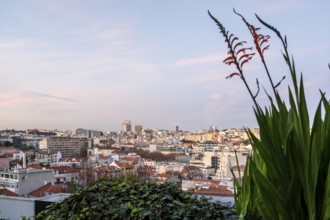 Beautiful Lisbon Rooftop and sky Views