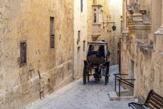 Horse carriage on historic street of L-Imdina, Rabat, Malta