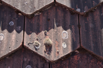 Old plain tile with moss