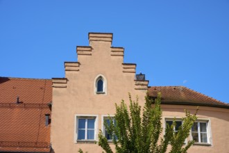 Building with stepped gable and green tree under a clear sky, Regensburg, Bavaria, Germany