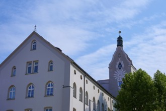 Baroque church and building with bright sky and green tree in the foreground, Regensburg, Bavaria,