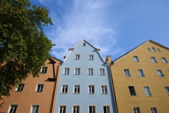 Colourful historic gabled facades with a tree in front of a blue sky, Regensburg, Bavaria, Germany
