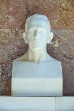 Marble bust of Moltke against a red background, classical style with a serious expression,