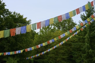 Colourful prayer flags hang over a green forest and lend a spiritual atmosphere, Bavaria, Germany