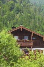 Old house with forest, Reit im Winkl, Chiemgau, Upper Bavaria, Bavaria, Germany