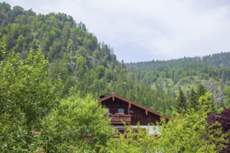 Old house with forest, Reit im Winkl, Chiemgau, Upper Bavaria, Bavaria, Germany