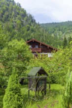 Old house with garden and forest, Reit im Winkl, Chiemgau, Upper Bavaria, Bavaria, Germany