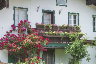 Balcony with flowers and flower boxes on an old house, Reit im Winkl, Chiemgau, Upper Bavaria,