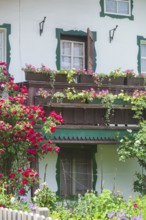 Balcony with flowers and flower boxes on an old house, Reit im Winkl, Chiemgau, Upper Bavaria,
