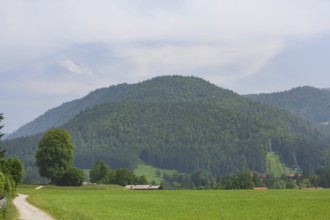 Landscape with mountains and meadow, Reit im Winkl, Chiemgau, Upper Bavaria, Bavaria, Germany
