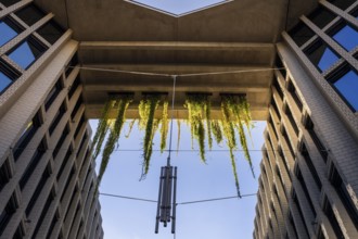 Architecture, catering and commercial real estate, Am Tacheles, Oranienburger Straße, Berlin,