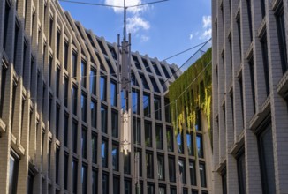 Architecture, catering and commercial real estate, Am Tacheles, Oranienburger Straße, Berlin,