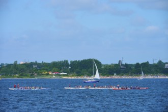 Canoeist and sailing boat on the sea in sunny weather, Heikendorf, Plön district, Kiel Fjord,