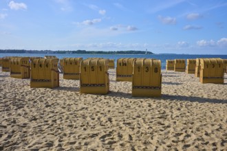 Row of numbered beach chairs under a blue sky on a sunny sandy beach, Heikendorf, Plön district,