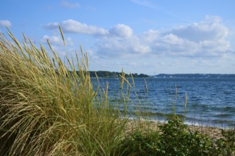 Beach dunes overlooking the sea under a partly cloudy sky, Heikendorf, Plön district, Kiel Fjord,