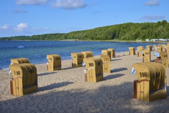 Beach chairs on a sandy beach with a wooded background and calm sea, Heikendorf, Plön district,