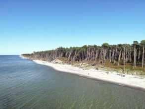 Drone image of the west beach on the Fischland Darß peninsula, Mecklenburg-Western Pomerania,