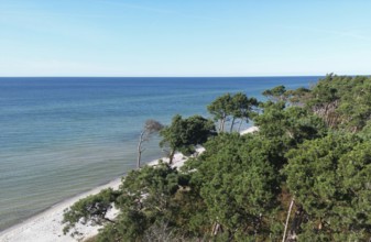 Drone image of the west beach on the Fischland Darß peninsula, Mecklenburg-Western Pomerania,