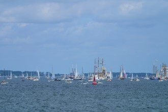 Numerous sailing boats sailing on the blue sea with a wide view of the horizon, Windjammer Parade