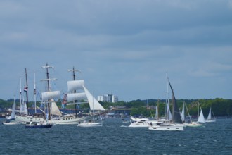 Boats and large sailors on the sea in front of a city under a blue sky, Windjammer Parade Kiel
