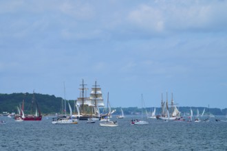 Numerous yachts and sailing ships sailing under a slightly cloudy sky, Windjammer Parade Kiel 2025,