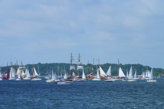 Many sailing boats and a large sailing ship on the sea under a blue sky with clouds, Windjammer