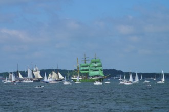 Many sailing boats on the ocean, a large green sailing ship Alexander von Humbold 2 in the centre