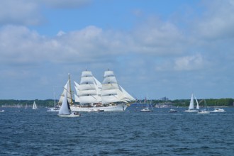Tall ship Gorch Fock with white sails accompanied by small boats, Windjammer Parade Kiel 2025,